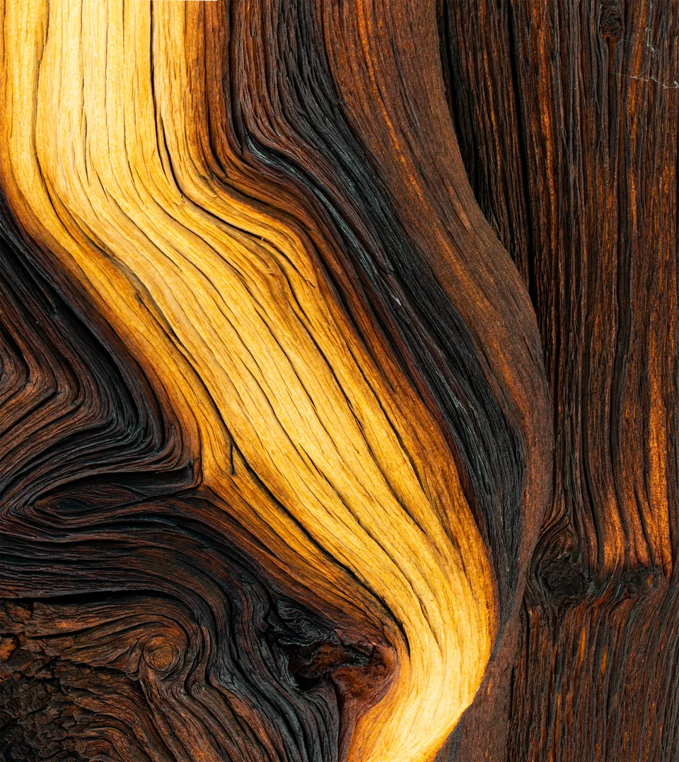 Brown and Yellow