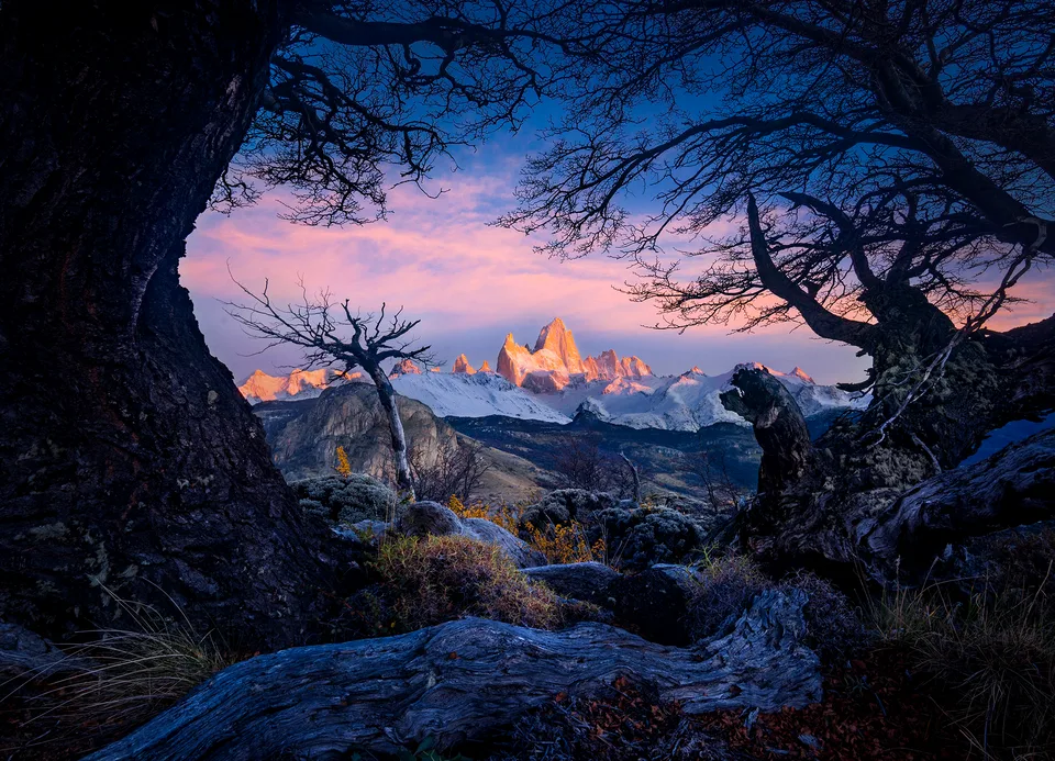Fitz Roy Awakens